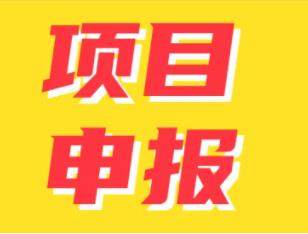 補(bǔ)貼項目申報檢測
