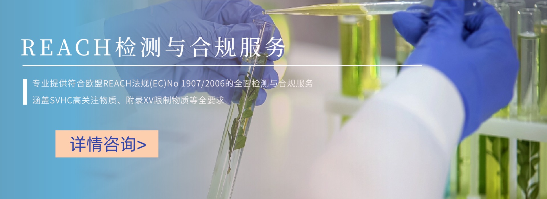 REACH檢測與合規(guī)服務(wù)(圖1) REACH檢測與合規(guī)服務(wù)(圖1)